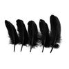 50Pcs Colorful Feathers Party Wedding Decor DIY Headwear Dream Catcher Accessory