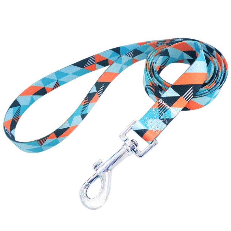 Patterned Webbing Dog Leash - Printed Pet Rope