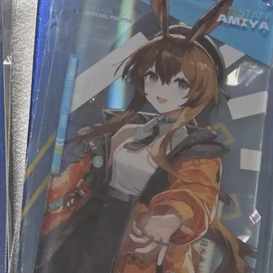 

Amiya Pass 2024 Фестиваль Мёнъиль Арк