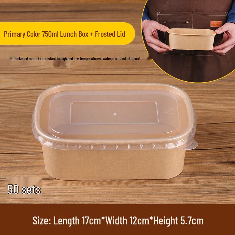 Disposable Outdoor Picnic Bento Box