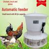 Automatischer Geflügelfutterautomat mit Timer für Hühner, Tauben, Enten und Gänse