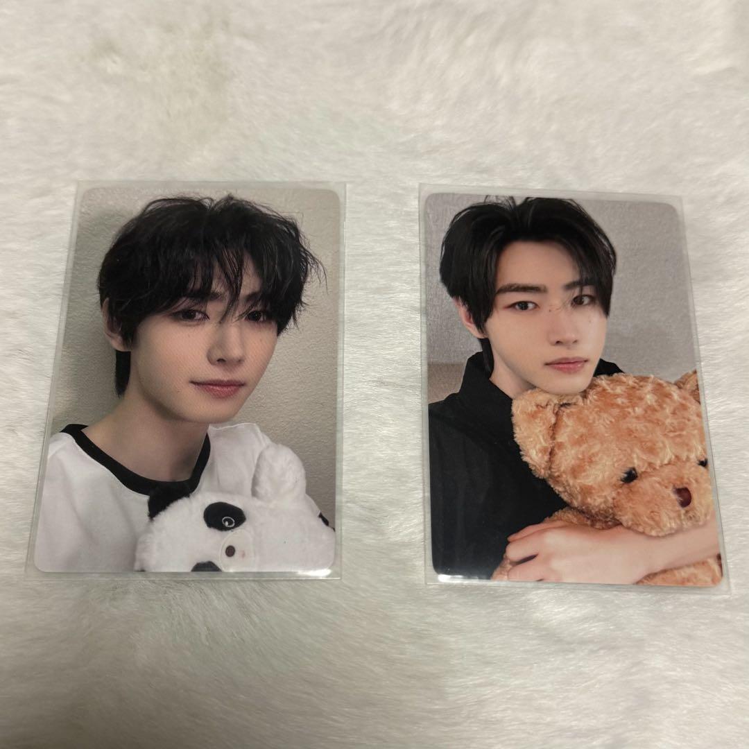 

[USED] ENHYPEN Sung Hoon Panda Bear Trading Card