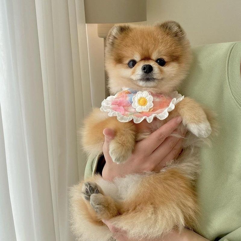 Fashion Dog Bib with Cute Lace Pet Bib For Puppies Neckerchief Pet Supplies Accessories for Dogs Scarf