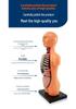 Children's STEM Educational Human Skeleton & Organs Model Teaching Aid