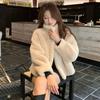 Winter Daughter Wind Fur Jacket Short Imitation Mink Velvet Loose Stand-up Collar Fur Jacket Women's Light Women's