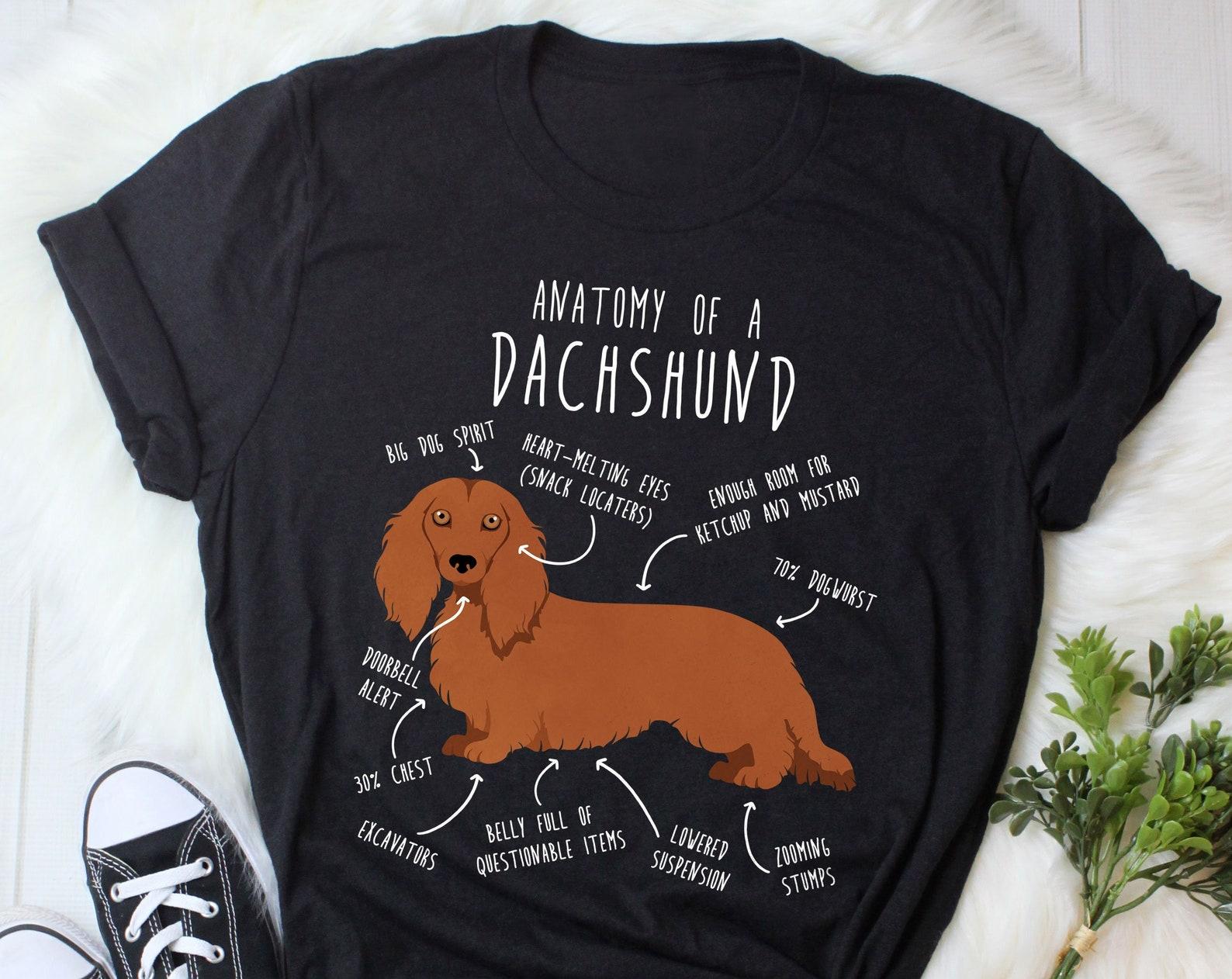 Red Longhaired Dachshund Shirt, , , Funny Brown Weiner Dog Lover Gift, Cute Sausage Dog T-shirt, Doxie Lover Tshirt, Pet Mom, Dad 100