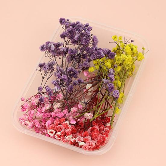 Useful Dried Flower Soft Pretty Decorative