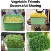 1/2/3x Seed Sprouter Tray with Cover Sprout Dish Growing Pot Seed Germination Tray Soilless Cultivation Germination Nursery Tray