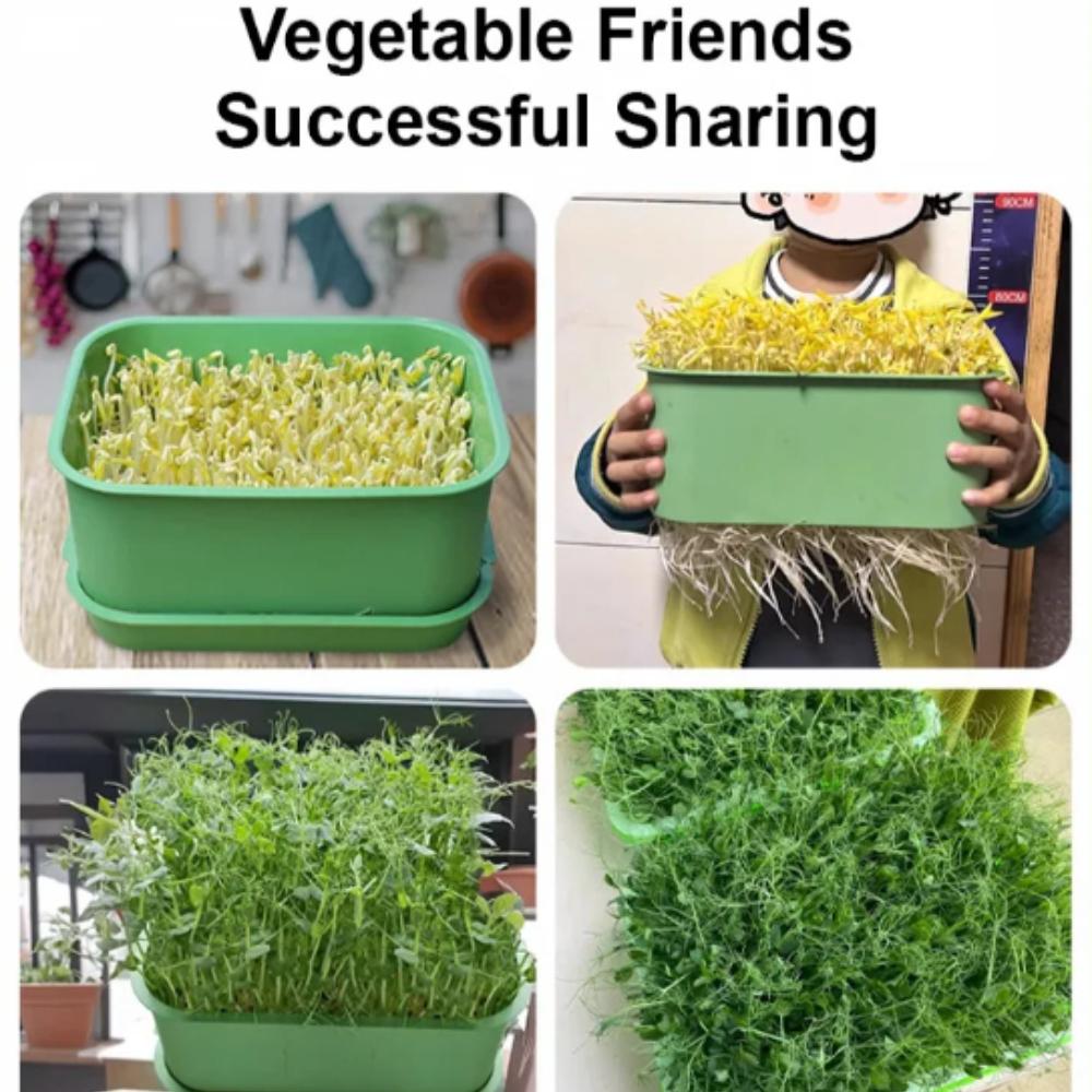 1/2/3x Seed Sprouter Tray with Cover Sprout Dish Growing Pot Seed Germination Tray Soilless Cultivation Germination Nursery Tray