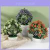 Lycopersicon Esculentum Var Potted Plant Artificial Decor For Wedding And Home Decoration