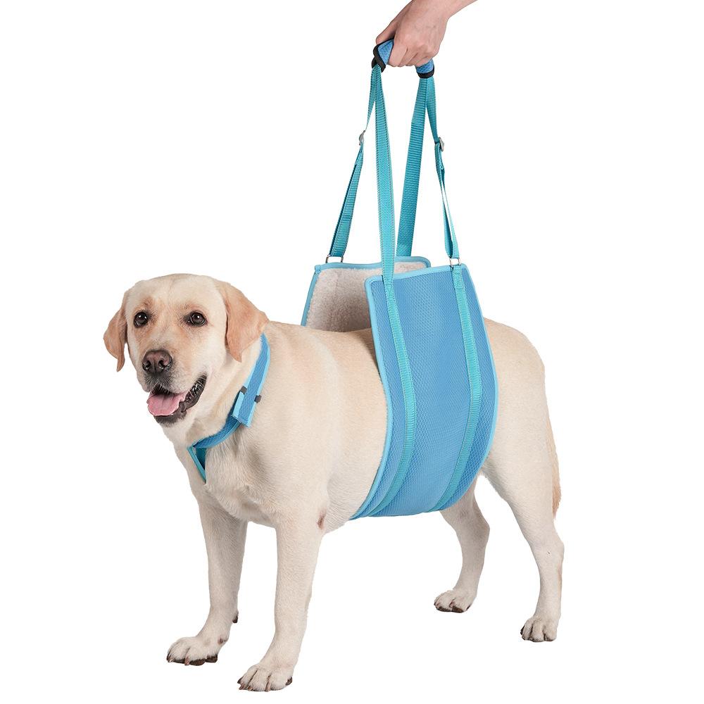 

The Dog-assisted Pet Rehabilitation Travel Chest and Back Strap Can Adjust The Dog Leash S синий