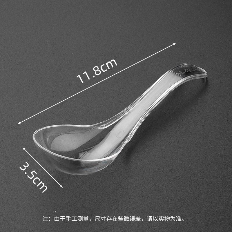 ZISIZ Disposable Plastic Spoon