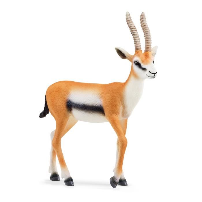 Figurine - SCHLEICH - Gazelle de Thomson - Wild Life - Multicolore - A partir de 3 ans chiaro