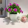 Flowers Eighteen Simulated Daisy Pine Cone Artificial Green Plant Potted Plant