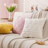 Egg Pattern Easter Pillow Cover Fluffy Wear-resistant Plush Pillow Case Invisible Zipper Comfortable Cushion Cover