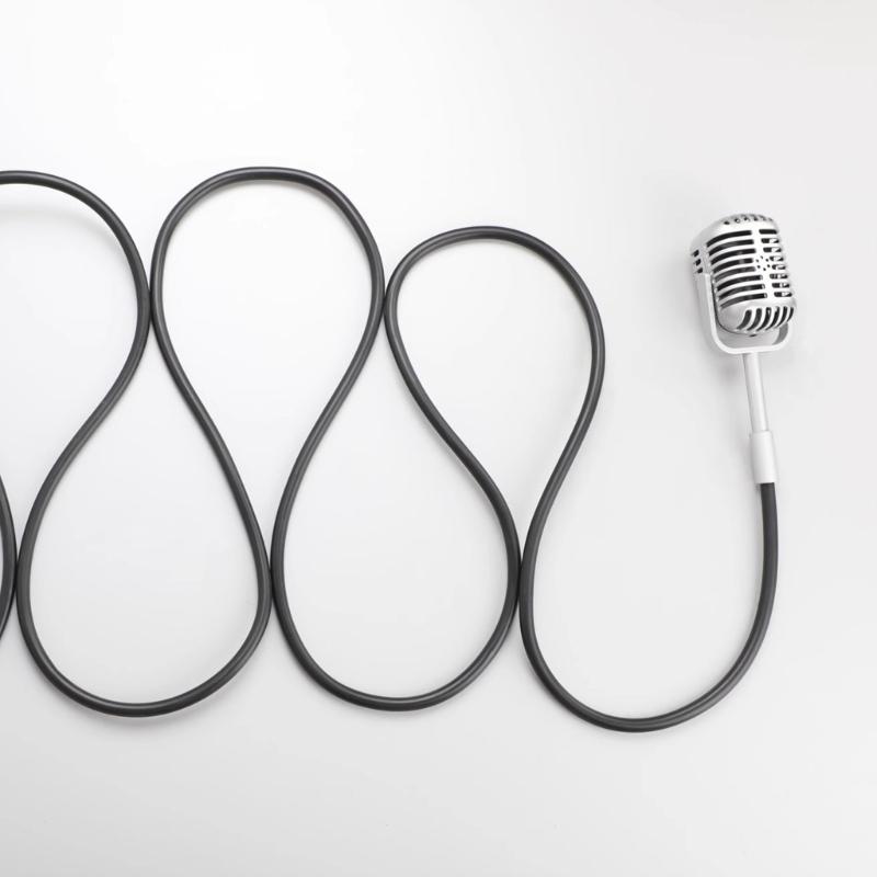 Antique Type Metal Microphone for Photography Video Recording Home Bar Decoration Accessories Premium Craftsmanship