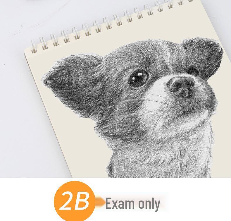 50-Pack Bao Ke HB Pencils with Erasers for Elementary School Students - Ideal for Writing, Art, and Sketching
