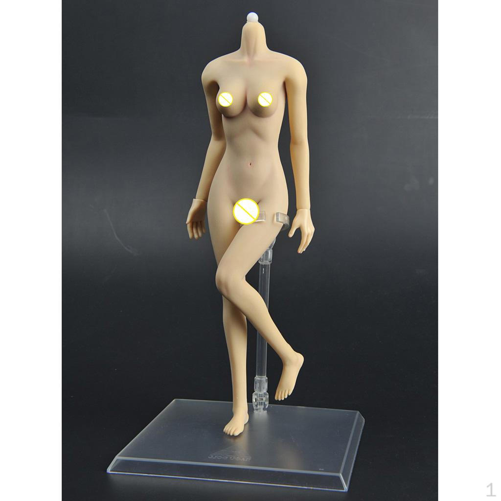 1 / 6th Scale Nude Body Doll Joints Flexible for 12 Inches