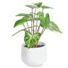 Artificial Plant with Deodorizing and Antibacterial Mini Fake Tabletop No Watering Artificial Stylish Interior Gift Wrapping Day Pot Included