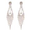 Elegant Tassel Long Earrings: European & American Fashion, High-End Prom & Evening Goddess Style.