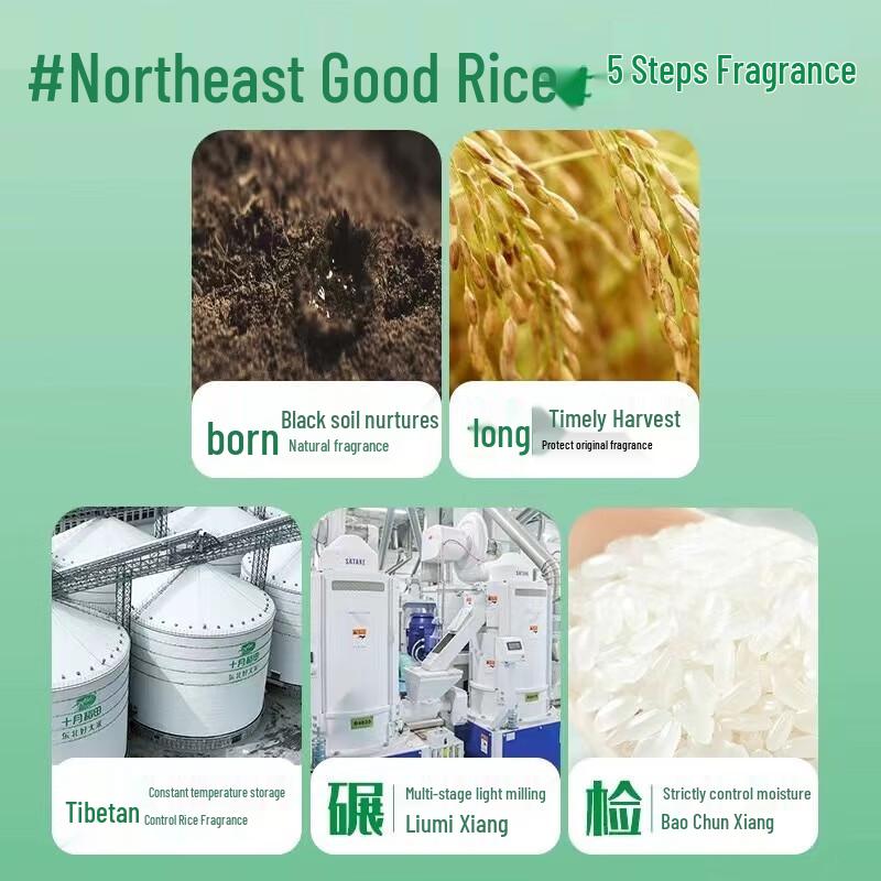October Rice Paddy Long Grain Fragrant Rice 5kg
