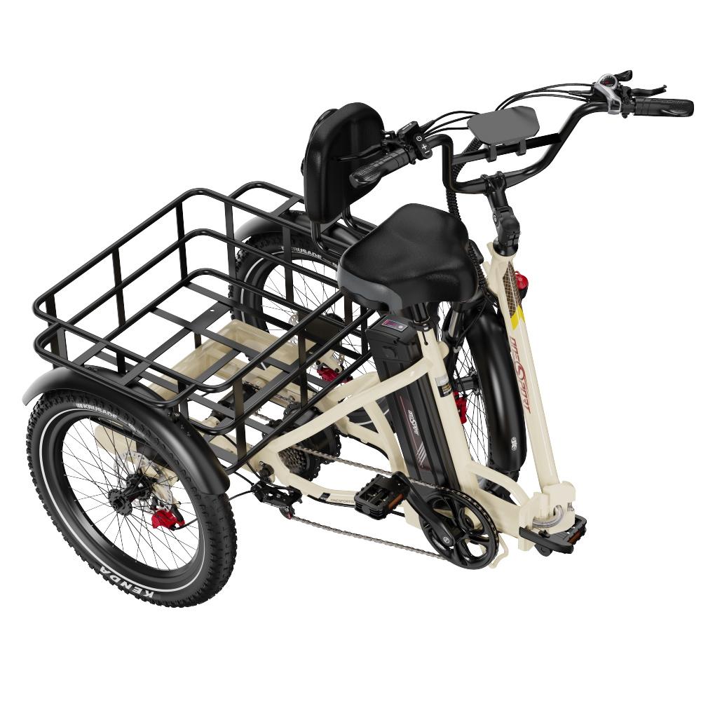 Fafrees Triciclo Eléctrico F20 Mate para Adultos, Plegable 20 x 3, Batería de 48 V/20 Ah, Frenos Hidráulicos, Triciclo de Carga Eléctric 250W, Alcance 115km (Gris, Cesta estándar