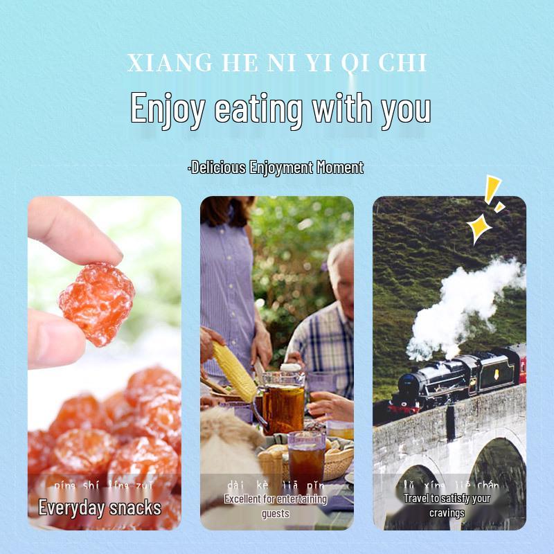 Guangdong Specialty Candied Plum Fruit Snacks - Quick Delivery