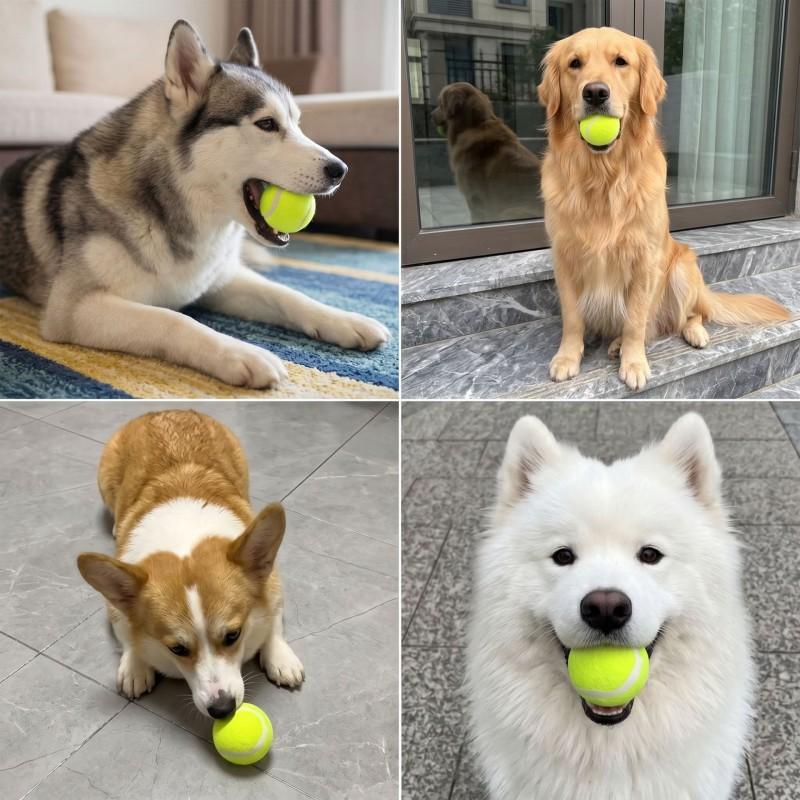 Durable Rubber Tennis Ball Dog Toy Chewing Training Outdoor Play Small To Medium Dogs