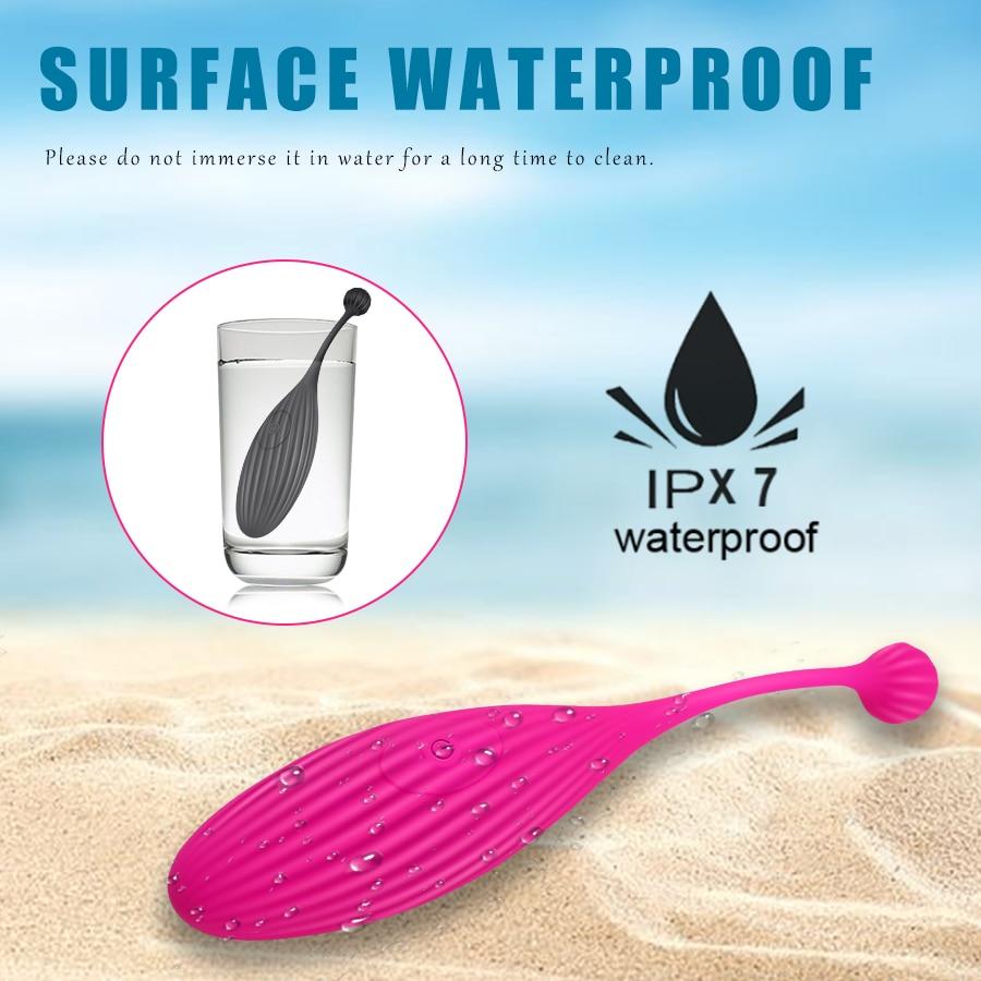 Wireless Control Panties Vibrator for Women G Spot Stimulate Vagina Clitors Massager Wearable Vibrating Egg Sex Toys for Adult