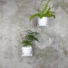 White Metal Wall Flower Stand, Flowerpot Hanger, Modern Plant Holder
