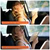 Car Windshield Sunshade Snow & Frost Shield, Aluminum Foil Protection