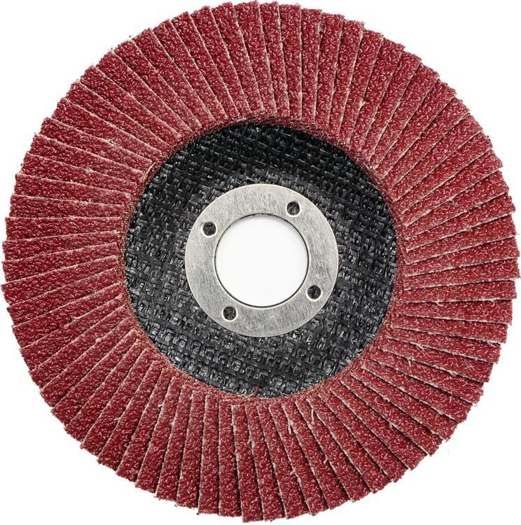 Flap disc grinding wheel p40 125 mm 07984 VOREL