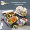 Nuoxian Disposable Pulp Meal Prep Containers