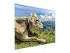 GLAS-SCHNEIDEBRETT 52x40 KUH