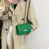 Popular Simple Bag Women's Autumn Chain Shoulder Small Square Bag Fashion Casual Trendy Messenger Bag
