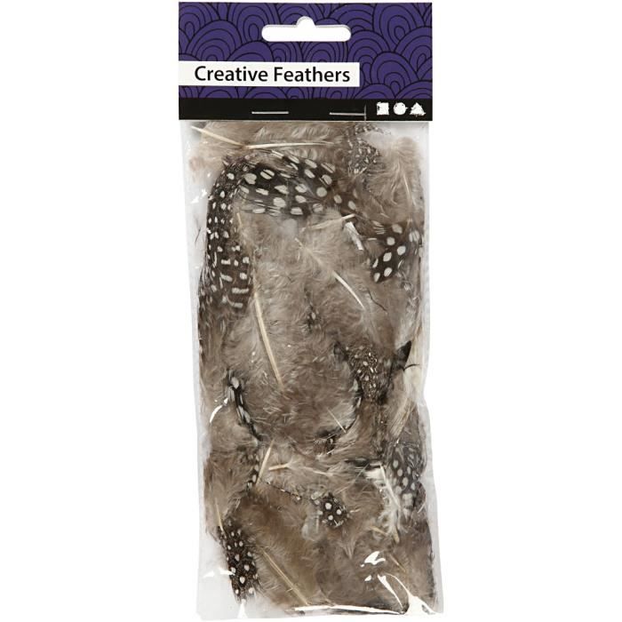 Good Quality Guinea Fowl Feathers. Ref 51812