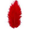 Good Quality Turkey Feathers. Ref 51696