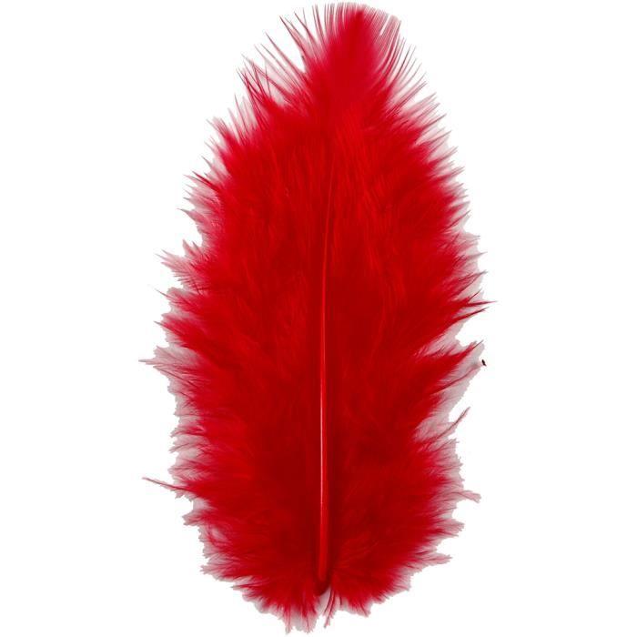 Good Quality Turkey Feathers. Ref 51696