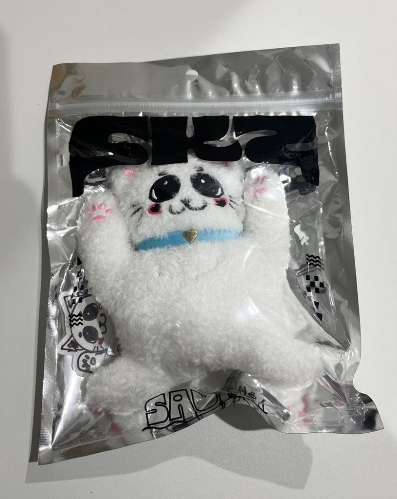 [USED] Stray Kids Sukiz Sauna Felix Bag Charm Men's Pro