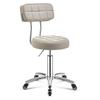 Adjustable Swivel Stool with Backrest and Casters