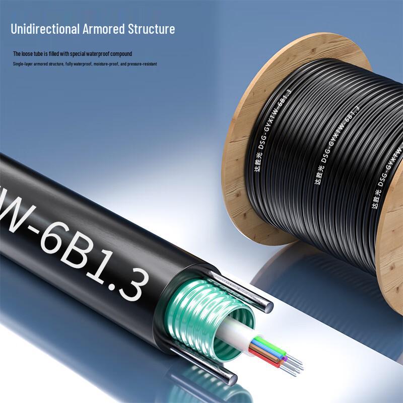 Dasheng Light GYXTW Single-Mode Armored Outdoor Fiber Optic Cable