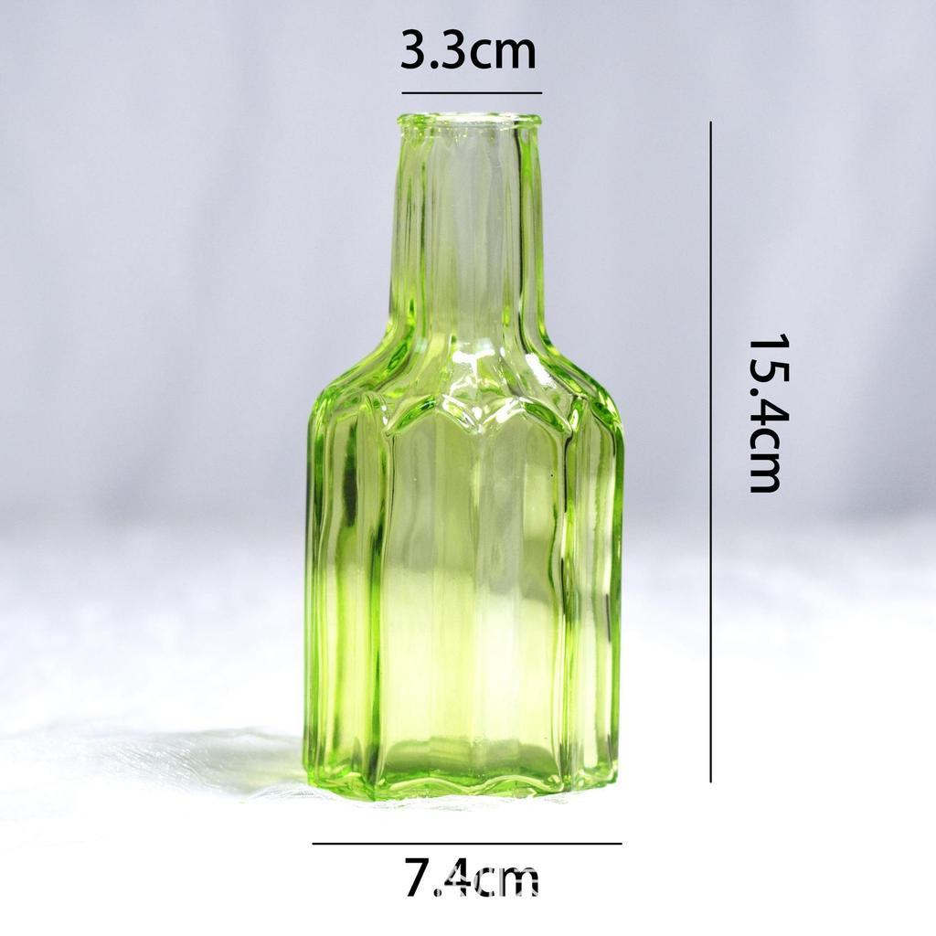 Nordic Retro Glass Vase - Mini Decorative Hydroponic Bottle for Living Room Decor