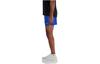 New Balance RC SHORT 5 Casual Shorts Men's Blue MS41286-BUL