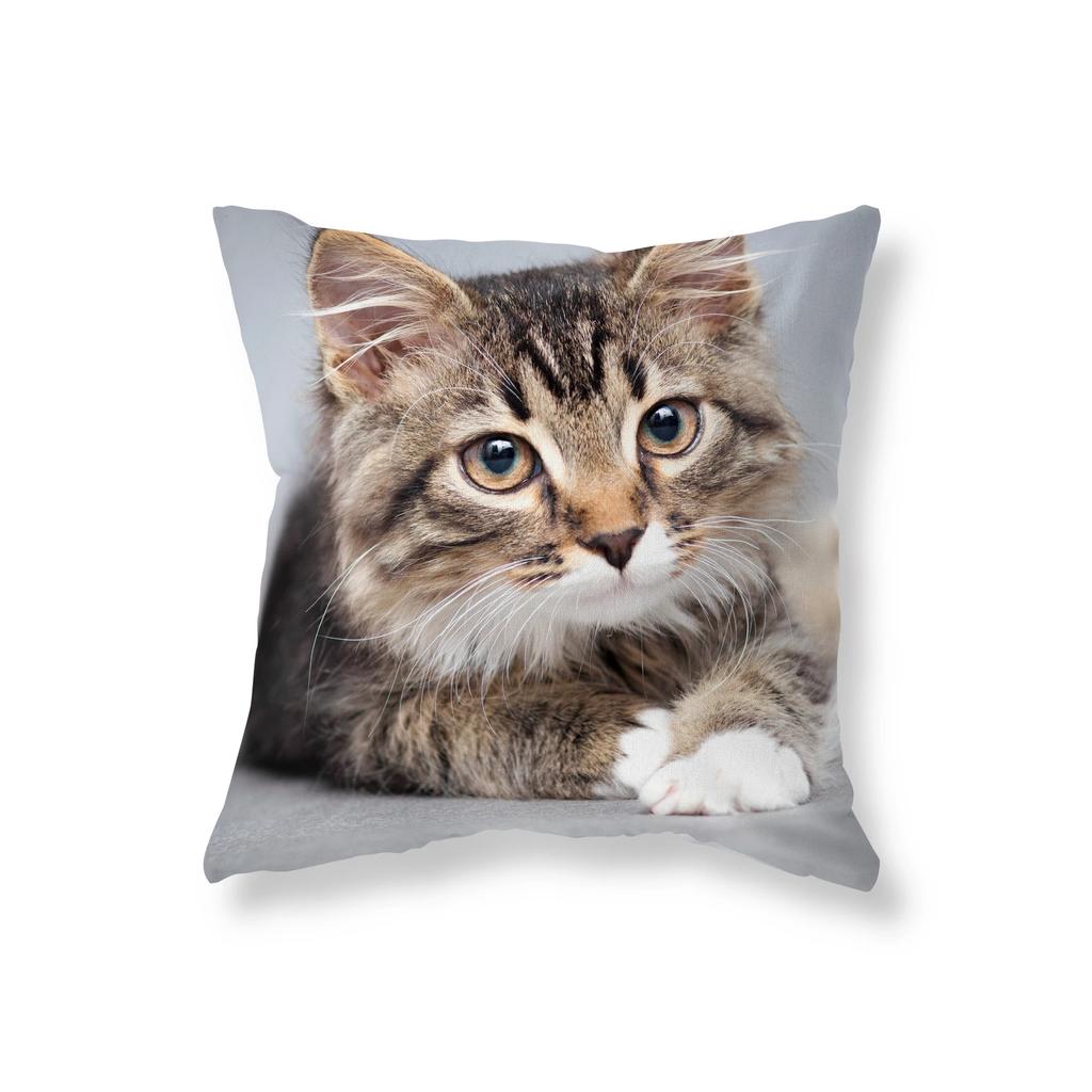 Cute Funny Black Cat Pillowcase   Sofa Car Decoration Office Game Chair Cushion Cover Room Home