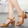Middle Mother Shoes Summer Middle Heel Thick Heel Hollow Women's Sandals Velcro Color Retro Simple Fish Mouth Shoes