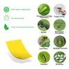 20-100pcs Sticky Insect Board Powerful Flycatcher Sticker Sheet Greenhouse Pest Control Insecticide Double-sided Adhesive Tape