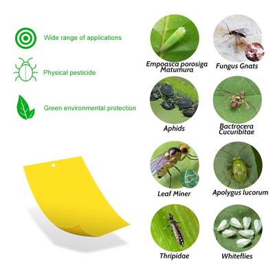 20-100pcs Sticky Insect Board Powerful Flycatcher Sticker Sheet Greenhouse Pest Control Insecticide Double-sided Adhesive Tape
