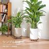 Bamworld Wooden Plant Stand with Casters, Suitable for Indoor and Outdoor Use, Suitable for Living Rooms, Gardens, and Balconies, Set of 2