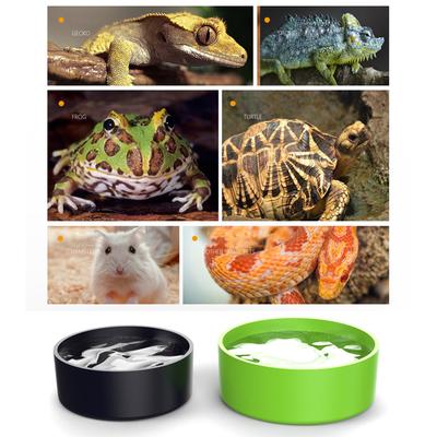 Reptile Food Water Bowls Set of 3 For Lizards Turtles Snakes Easy Clean Plastic Feeding Dishes for Small Pet Terrarium