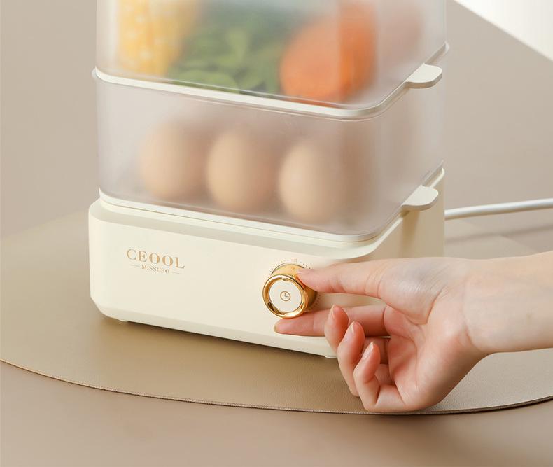 Multifunctional Double-Layer Steamer for Eggs & Custards - Anti-Dry Burning Electric Cooker for Dormitory & Home Use